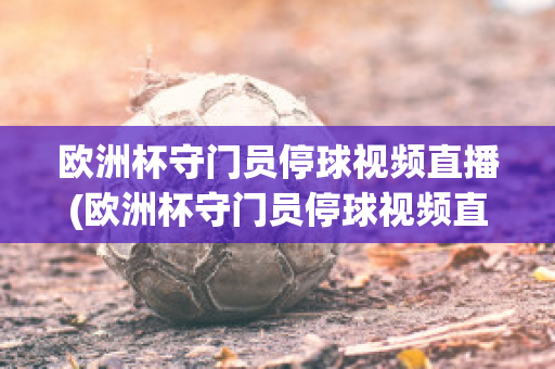 欧洲杯守门员停球视频直播(欧洲杯守门员停球视频直播回放)