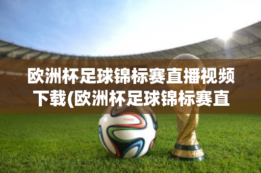欧洲杯足球锦标赛直播视频下载(欧洲杯足球锦标赛直播视频下载网站)