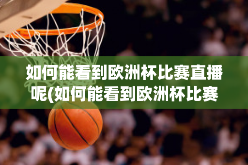 如何能看到欧洲杯比赛直播呢(如何能看到欧洲杯比赛直播呢知乎)