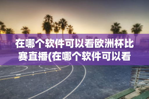 在哪个软件可以看欧洲杯比赛直播(在哪个软件可以看欧洲杯比赛直播的)