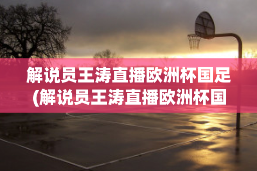 解说员王涛直播欧洲杯国足(解说员王涛直播欧洲杯国足视频)