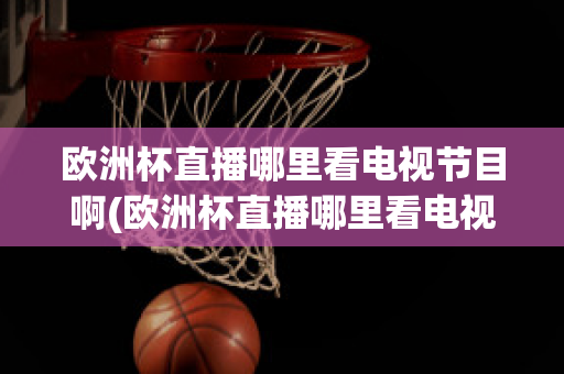 欧洲杯直播哪里看电视节目啊(欧洲杯直播哪里看电视节目啊回放)