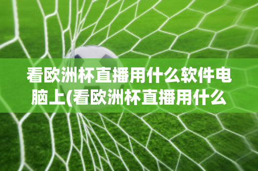 看欧洲杯直播用什么软件电脑上(看欧洲杯直播用什么软件电脑上能看)