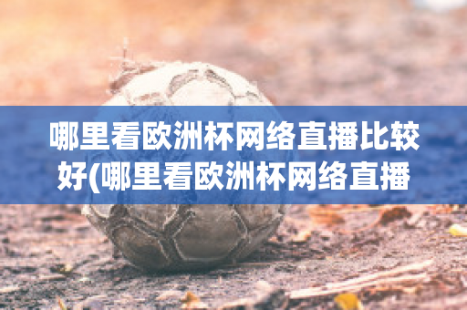 哪里看欧洲杯网络直播比较好(哪里看欧洲杯网络直播比较好看)