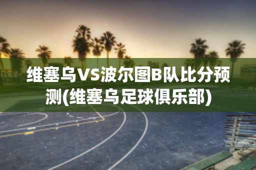 维塞乌VS波尔图B队比分预测(维塞乌足球俱乐部)