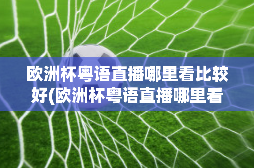 欧洲杯粤语直播哪里看比较好(欧洲杯粤语直播哪里看比较好一点)