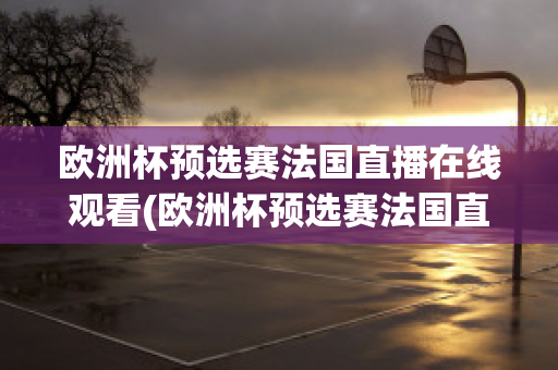 欧洲杯预选赛法国直播在线观看(欧洲杯预选赛法国直播在线观看高清)