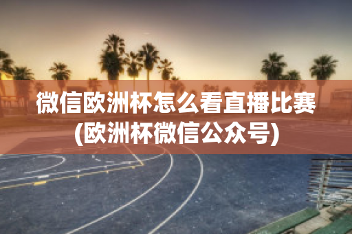 微信欧洲杯怎么看直播比赛(欧洲杯微信公众号)