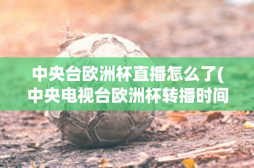 中央台欧洲杯直播怎么了(中央电视台欧洲杯转播时间表)