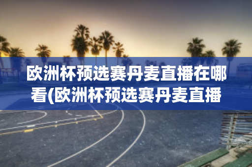 欧洲杯预选赛丹麦直播在哪看(欧洲杯预选赛丹麦直播在哪看回放)