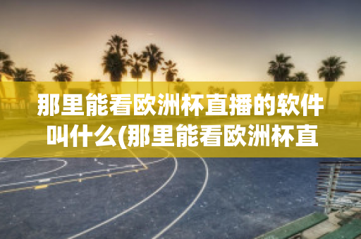 那里能看欧洲杯直播的软件叫什么(那里能看欧洲杯直播的软件叫什么来着)