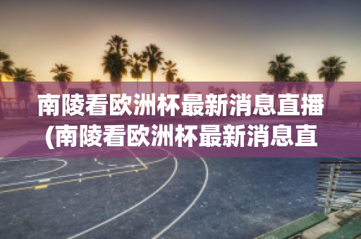 南陵看欧洲杯最新消息直播(南陵看欧洲杯最新消息直播回放)