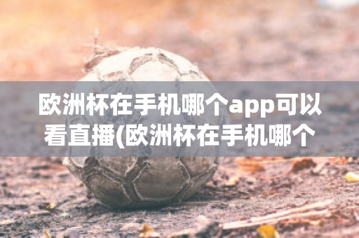 欧洲杯在手机哪个app可以看直播(欧洲杯在手机哪个app可以看直播的)