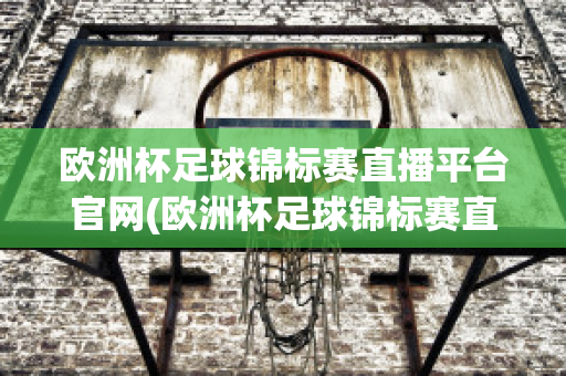 欧洲杯足球锦标赛直播平台官网(欧洲杯足球锦标赛直播平台官网入口)