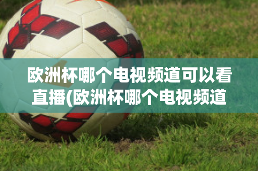 欧洲杯哪个电视频道可以看直播(欧洲杯哪个电视频道可以看直播回放)