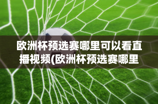 欧洲杯预选赛哪里可以看直播视频(欧洲杯预选赛哪里可以看直播视频啊)