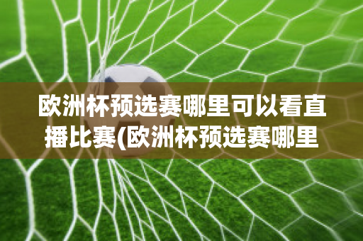 欧洲杯预选赛哪里可以看直播比赛(欧洲杯预选赛哪里可以看直播比赛视频)