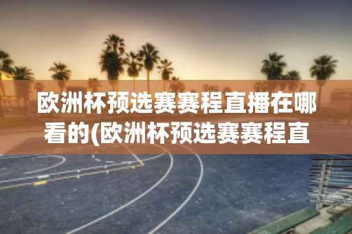 欧洲杯预选赛赛程直播在哪看的(欧洲杯预选赛赛程直播在哪看的到)