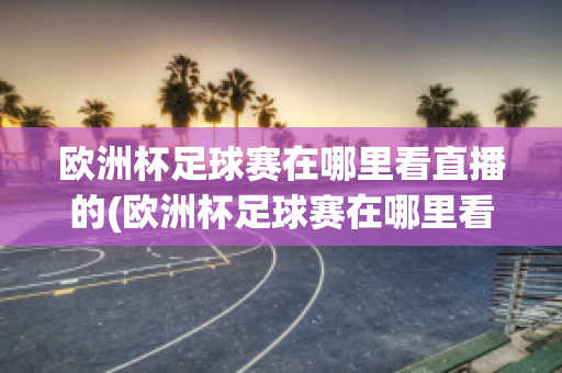 欧洲杯足球赛在哪里看直播的(欧洲杯足球赛在哪里看直播的视频)