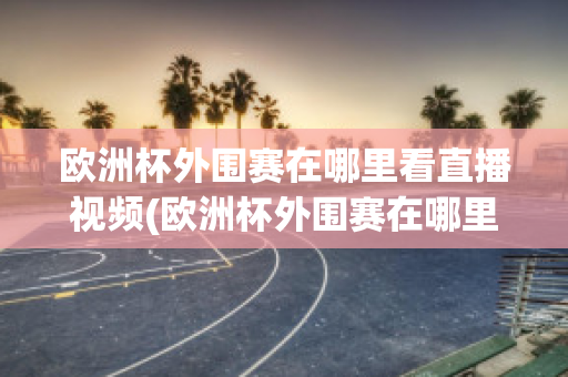 欧洲杯外围赛在哪里看直播视频(欧洲杯外围赛在哪里看直播视频啊)