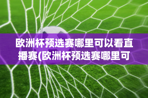 欧洲杯预选赛哪里可以看直播赛(欧洲杯预选赛哪里可以看直播赛果)