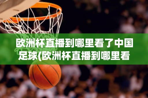 欧洲杯直播到哪里看了中国足球(欧洲杯直播到哪里看了中国足球直播)