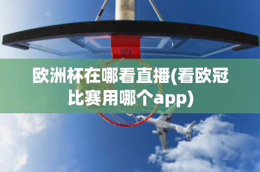 欧洲杯在哪看直播(看欧冠比赛用哪个app)