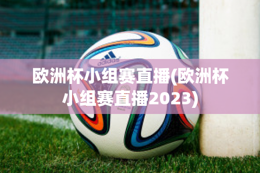 欧洲杯小组赛直播(欧洲杯小组赛直播2023)