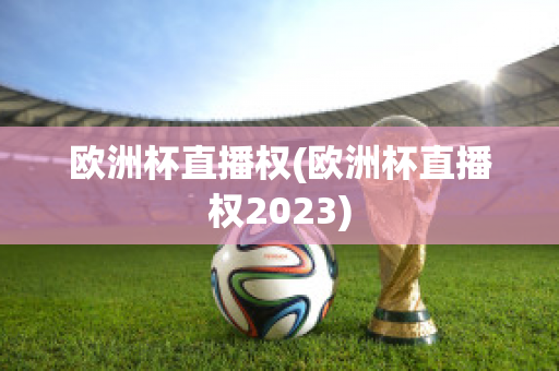 欧洲杯直播权(欧洲杯直播权2023)