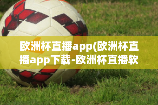 欧洲杯直播app(欧洲杯直播app下载-欧洲杯直播软件下载)