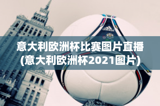 意大利欧洲杯比赛图片直播(意大利欧洲杯2021图片)