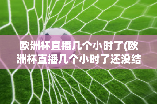 欧洲杯直播几个小时了(欧洲杯直播几个小时了还没结束)