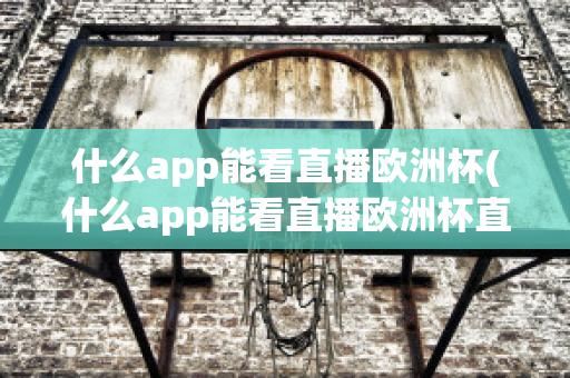 什么app能看直播欧洲杯(什么app能看直播欧洲杯直播)