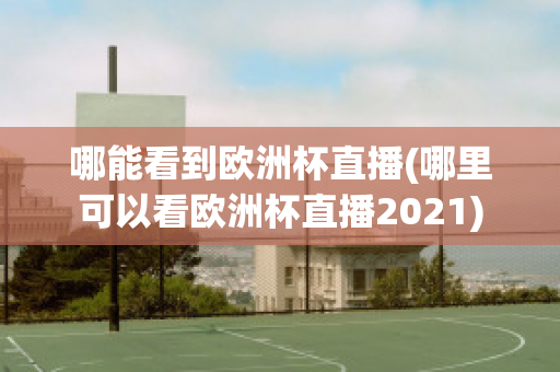 哪能看到欧洲杯直播(哪里可以看欧洲杯直播2021)