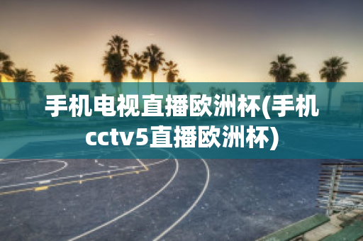 手机电视直播欧洲杯(手机cctv5直播欧洲杯)