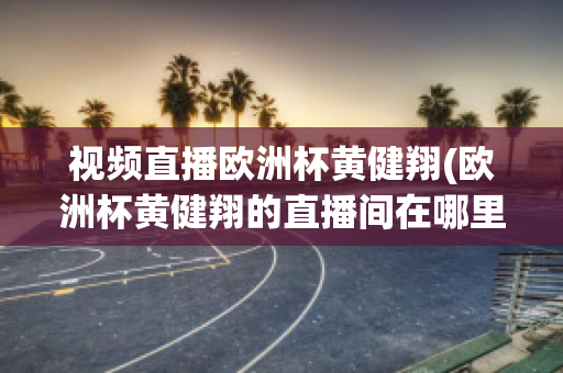 视频直播欧洲杯黄健翔(欧洲杯黄健翔的直播间在哪里)