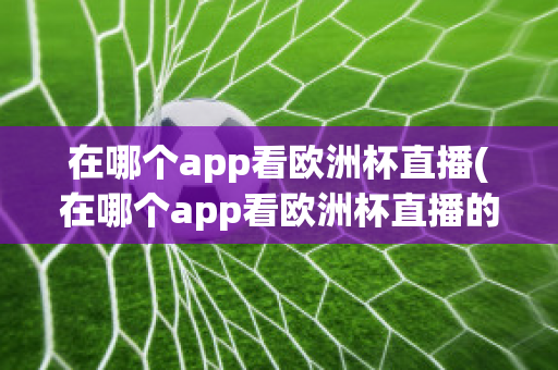 在哪个app看欧洲杯直播(在哪个app看欧洲杯直播的)