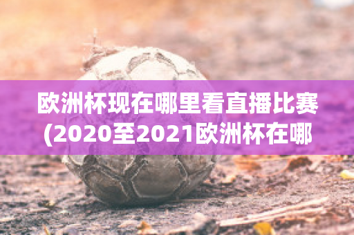 欧洲杯现在哪里看直播比赛(2020至2021欧洲杯在哪里可以看直播)