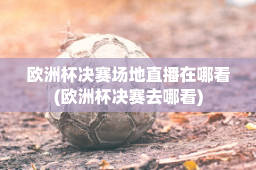 欧洲杯决赛场地直播在哪看(欧洲杯决赛去哪看)