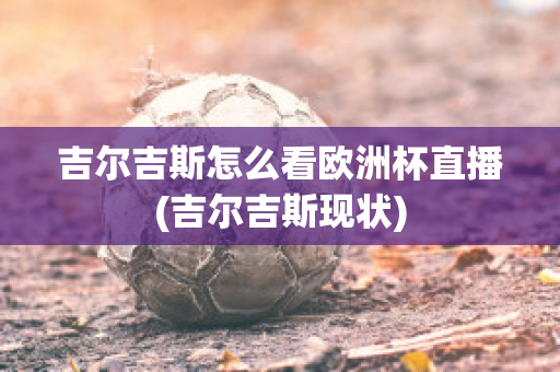 吉尔吉斯怎么看欧洲杯直播(吉尔吉斯现状)