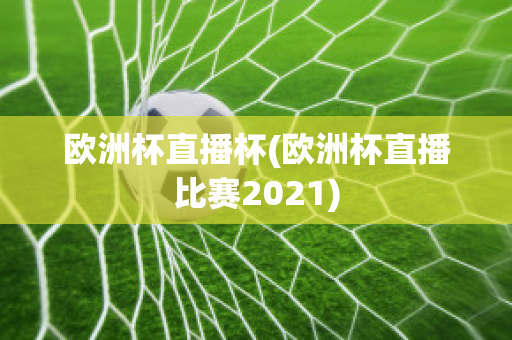 欧洲杯直播杯(欧洲杯直播比赛2021)