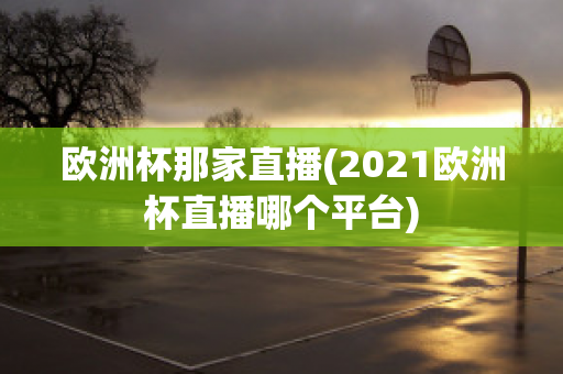 欧洲杯那家直播(2021欧洲杯直播哪个平台)