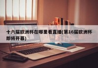 欧洲杯直播除了爱奇艺:欧洲杯直播除了爱奇艺还有什么