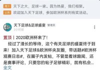 欧洲杯直播用啥软件好呢:欧洲杯直播用啥软件好呢视频