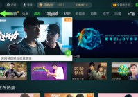 奇异果tv欧洲杯直播:奇异果tv欧洲杯直播在哪看