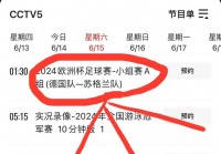欧洲杯小组赛直播中国:欧洲杯小组赛直播中国vs伊朗
