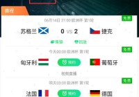 国外直播欧洲杯app:国外欧洲杯直播平台