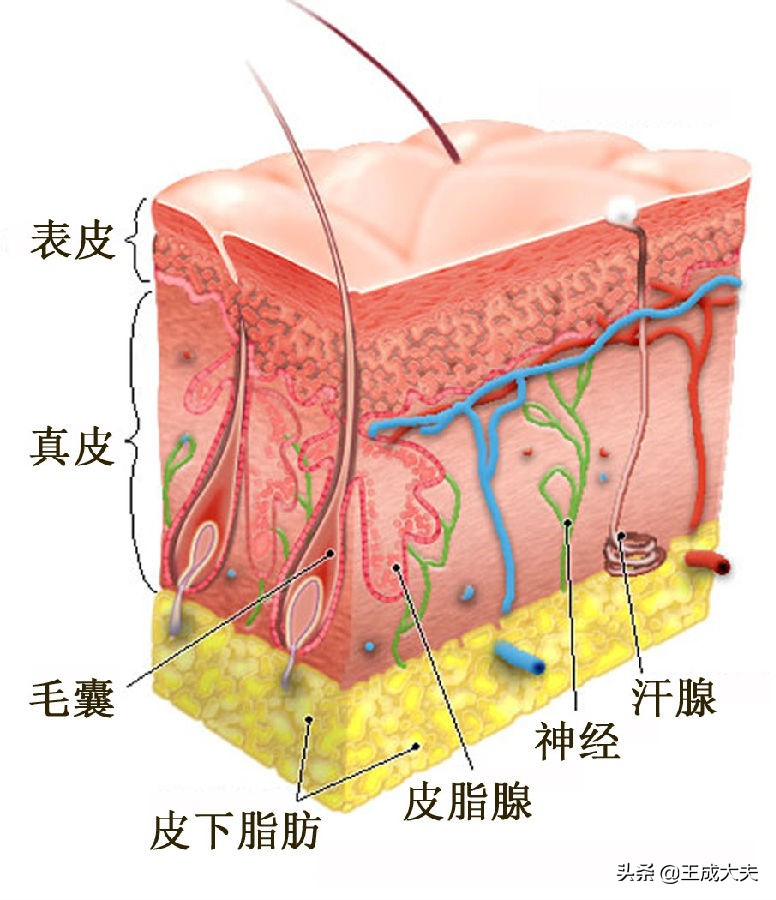 吴江欧洲杯决赛直播:2021欧洲杯苏州哪里有看的