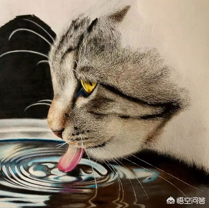 欧洲杯直播运营插画主题:欧洲杯直播运营插画主题是什么