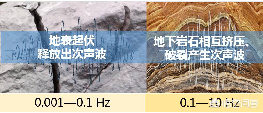 老狗直播欧洲杯:老狗直播欧洲杯比赛视频